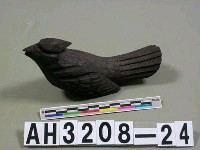 藏品(鳥)的圖片